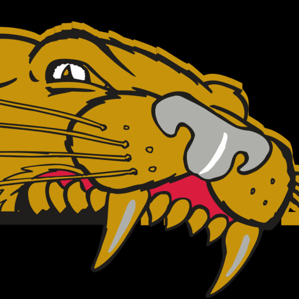 AR COUGAR 73 RC Thumbnail