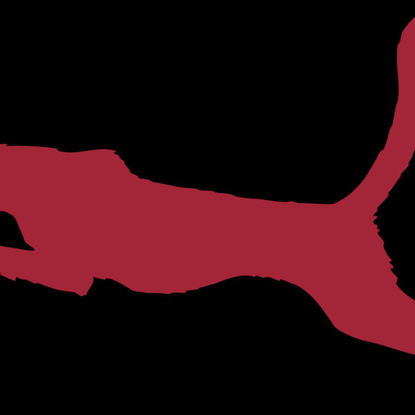 AR CHEETAH 11 RC Thumbnail