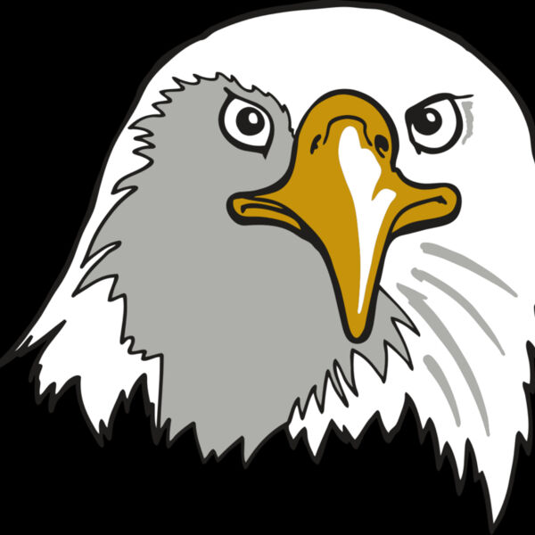 AR EAGLE 39 RC Thumbnail