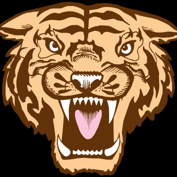 BAW TIGER 05 RC Thumbnail