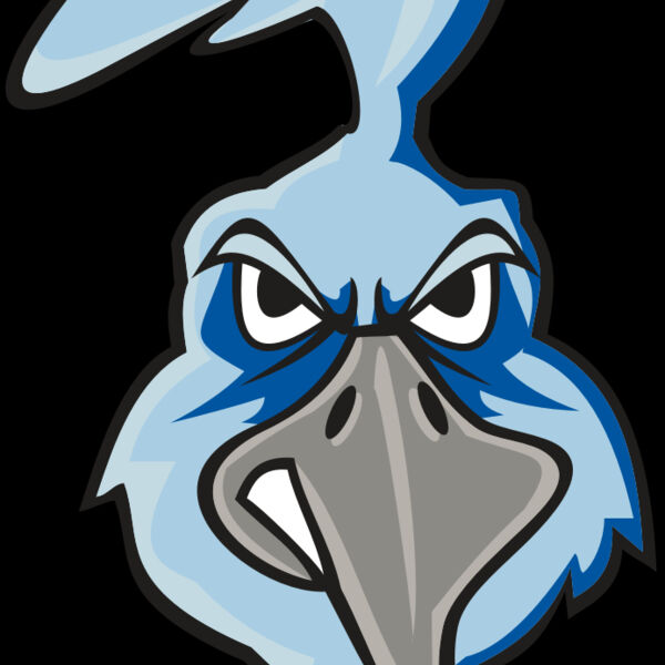 ROADRUNNER HD0502 RQC Thumbnail