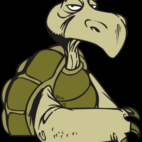 AR5 Turtle 01 RQC Thumbnail